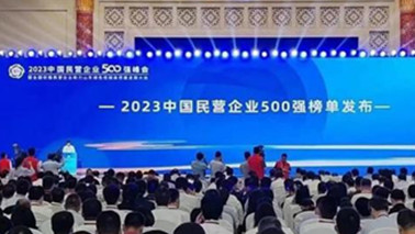 金年会集团位列2023中国民营企业500强第203位、2023中国制造业民营企业500强第139位