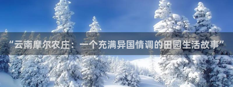 必一体育电子app