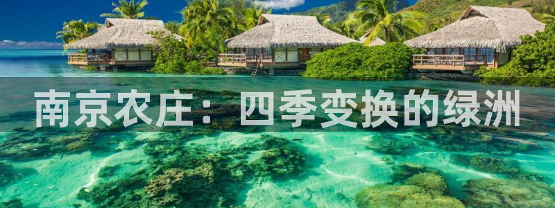 必一体育游戏玩法