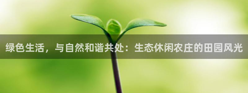 必一体育周公