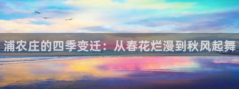 必一运动听的歌