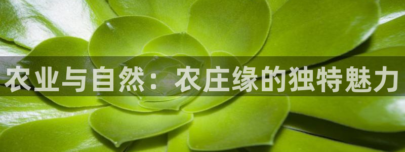 氵必一一厂一