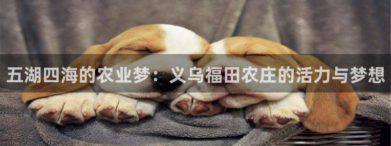 必一体育官网app