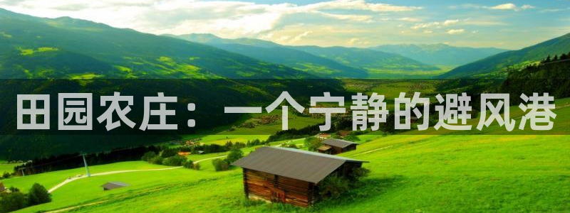 Bsport体育必一