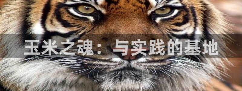 必一体育下载
