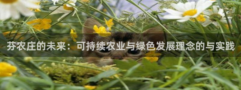 必一体育sport官网