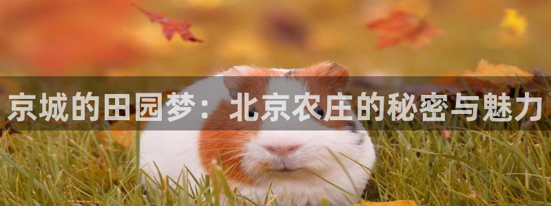 必一运动官网