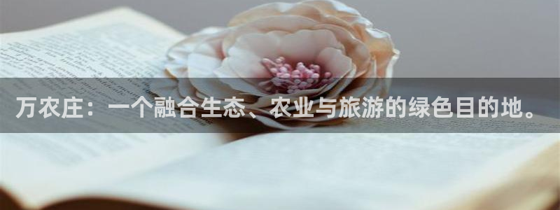 必一体育下载