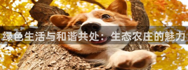 必一运动官网平台