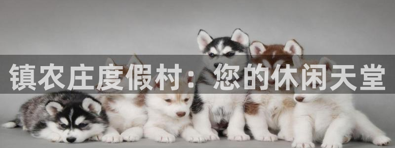 必一体育黑平台