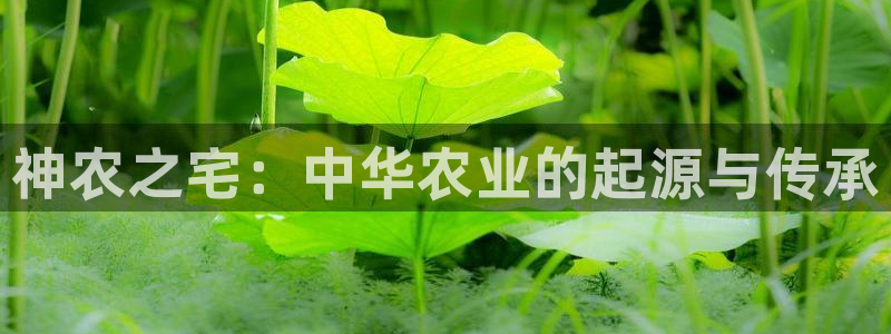 必一体育app官方
