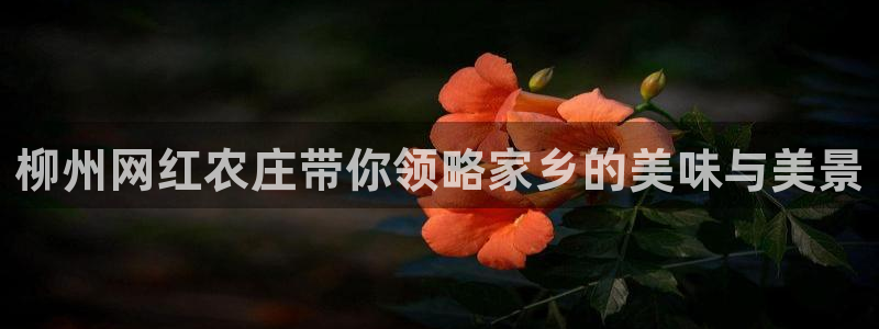 必一体育下载秀给网