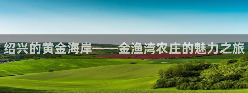 必一体育旧版