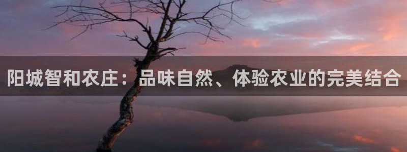 必一体育电子app