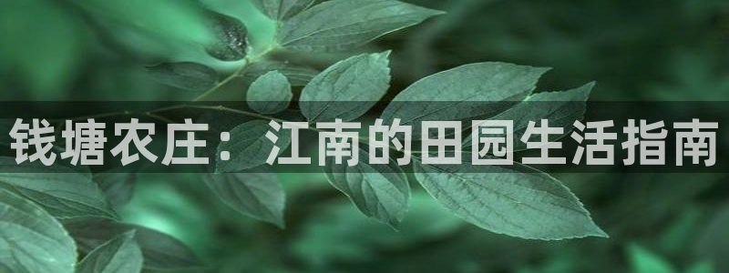 必一运动·(B-Sports)