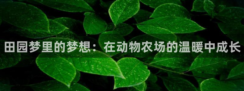 Bsport体育app必一