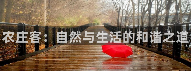 必一体育官网入口