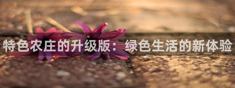 必一体育官网入口