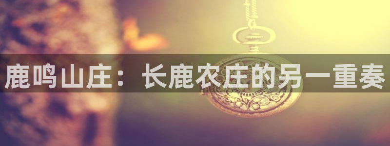 必一体育app官方