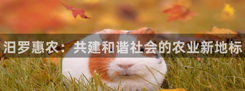 必一体育app官方正版下载