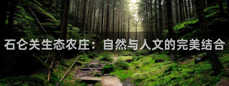 必一体育官方下载