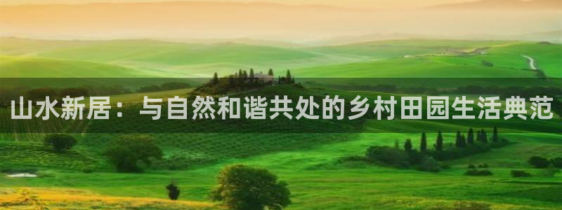 Bsport体育app必一