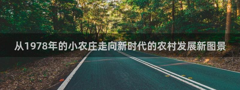 必一体育运动平台官网