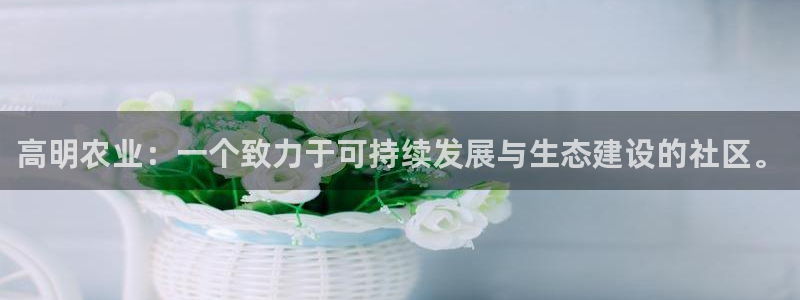 必一体育app官方正版下载