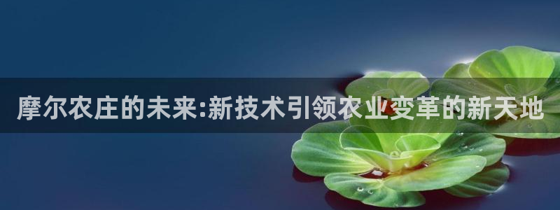 必一体育运动app