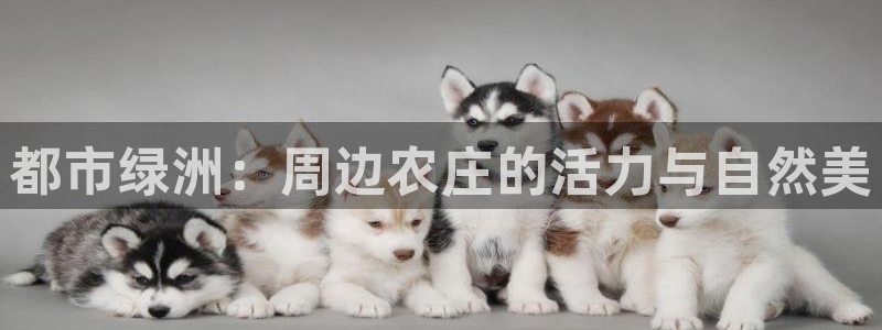 Bsport体育app必一