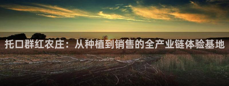 必一体育bsport下载