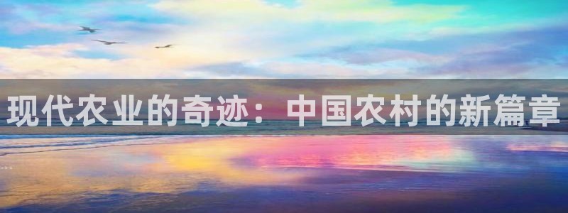 必一体育平台