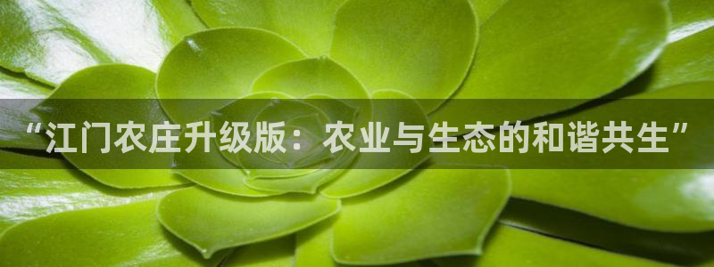 必一体育游戏特色