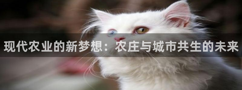 必一体育app官方下载入口