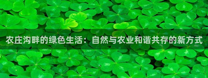 必一体育运动app下载
