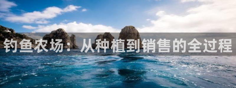必一运动体育官网下载