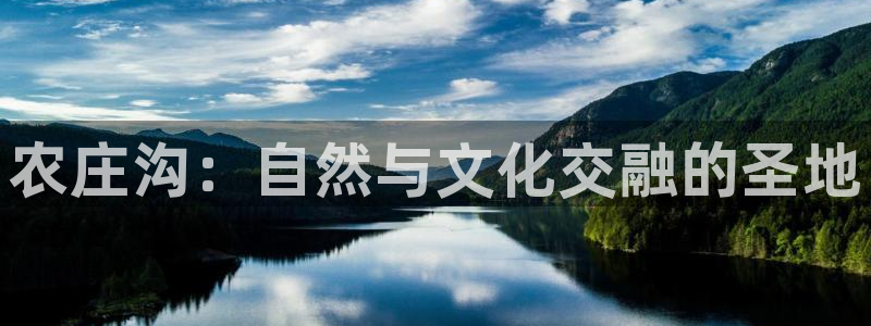 必一运动体