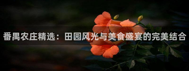 必一体育运动app