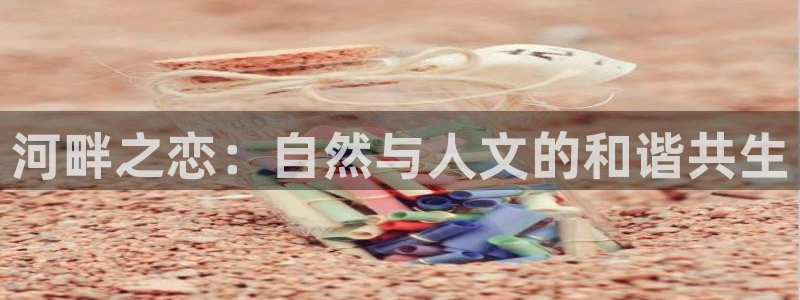 必十二和必一的副作用