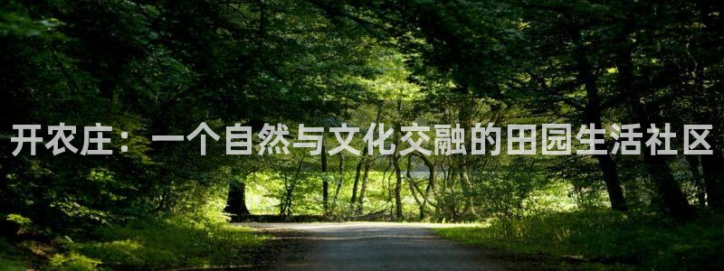 必一体育官网网站