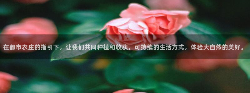 必一体育平台