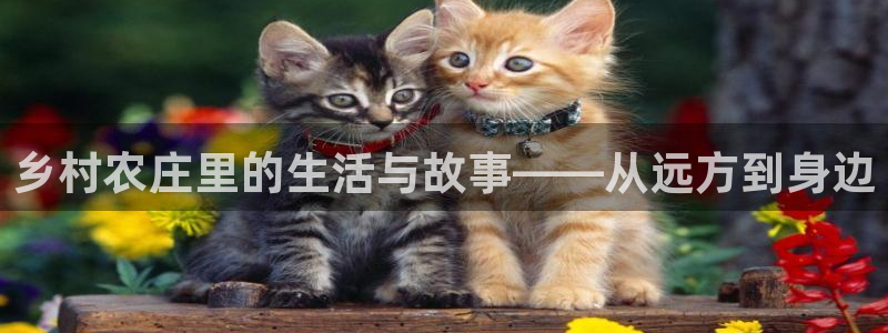 必一体育电子app
