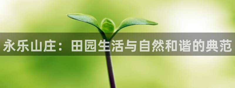 必一体育bsport2023-04-21