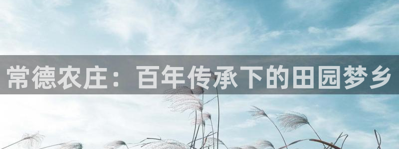 必一体育sport官方网站