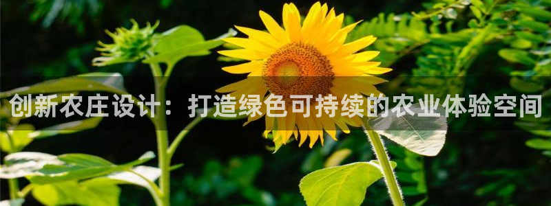 必一体育网页