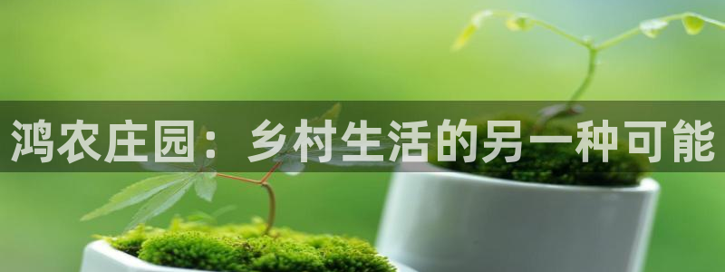 必一体育验证码