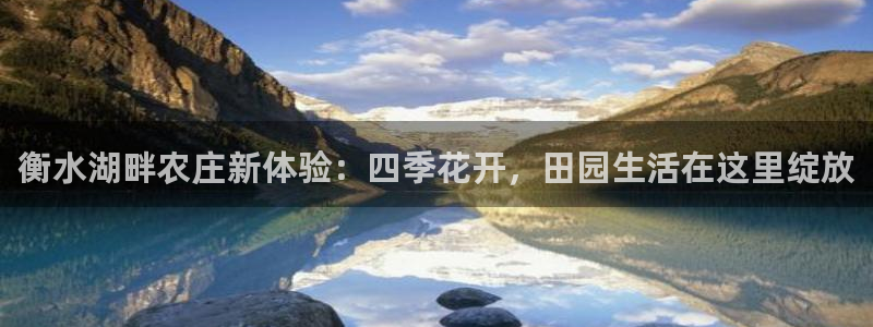 Bsport体育必一