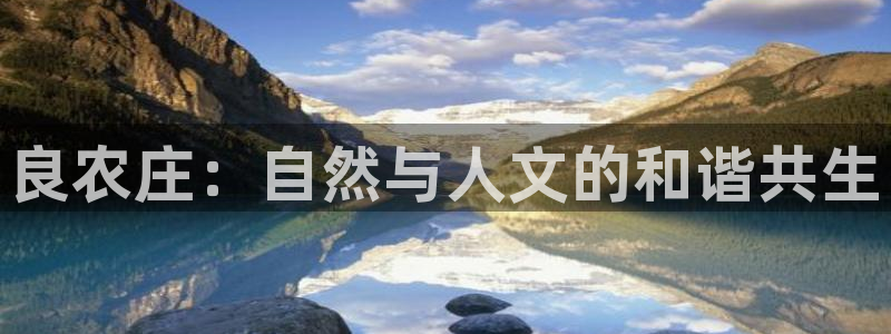 Bsport体育app必一