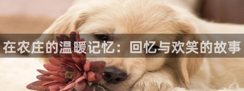 必一体育app下载装机吧