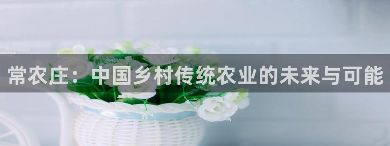 必一体育官网网站